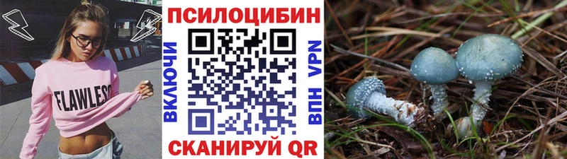 Псилоцибиновые грибы Cubensis  закладка  Бугуруслан 